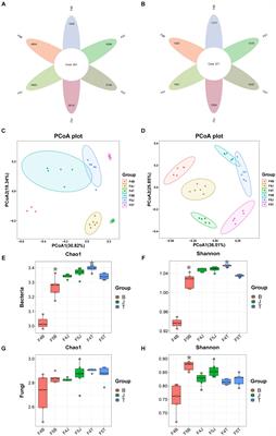 Temporal heterogeneity of the root microbiome in Panax ginseng soils across ecological compartments under mild soil disturbance